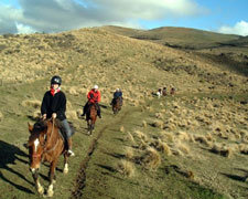 New Zealand-South Island-Alpine Pacific Triangle Ride